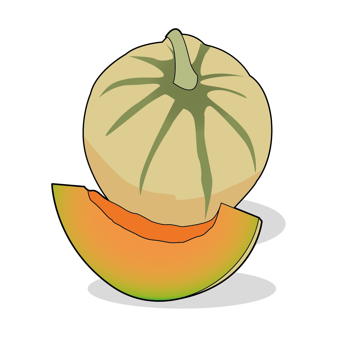 Icone d'un melon, ailmacocotte.com