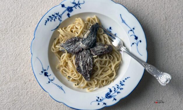 PÂTES AUX MORILLES ET AU VIN JAUNE