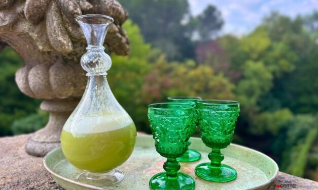 LA BOISSON DES SORCIÈRES