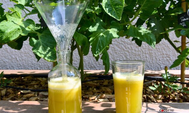 JUS DE POMMES, KIWI, ORANGE ET GINGEMBRE