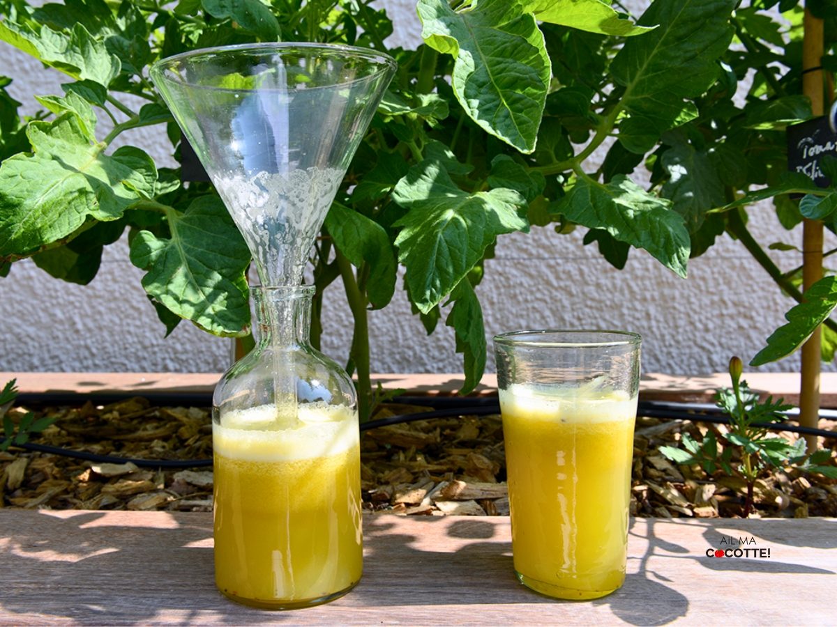 Jus de pommes kiwi orange et gingembre LT Jus de pommes kiwi orange et gingembre