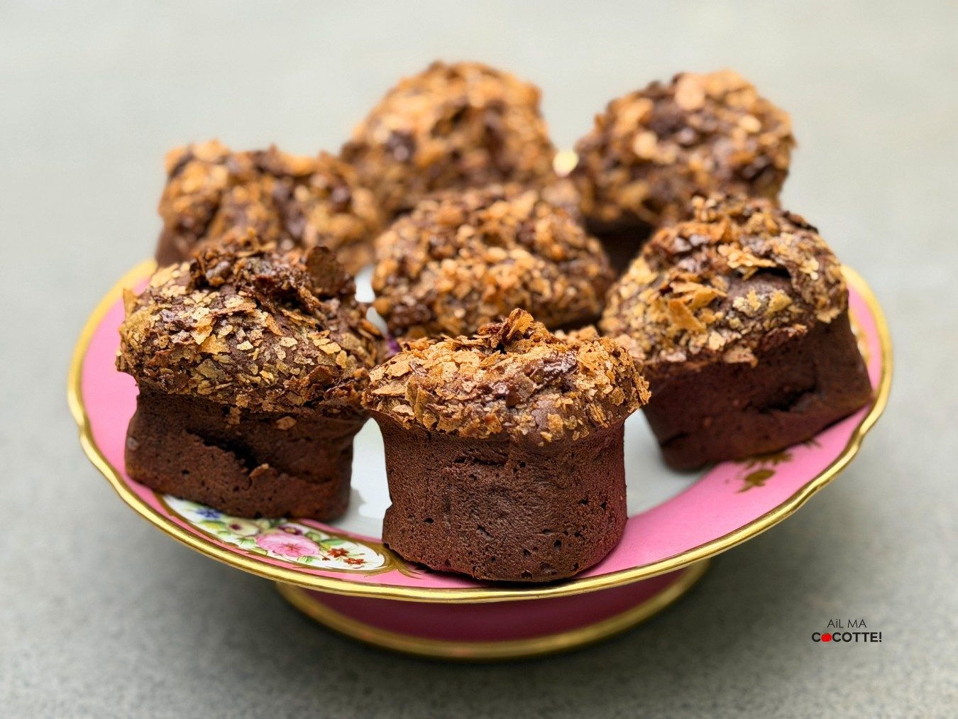 Petits moelleux au chocolat ultra-croustillants