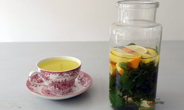 INFUSION GINGEMBRE, MENTHE, CITRON ET ORANGE